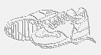 sneak.gif (3986 bytes)