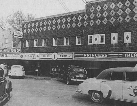 princess.jpg (36087 bytes)