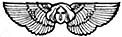 17wings.jpg (6665 bytes)