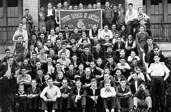 40ffa.jpg (62273 bytes)