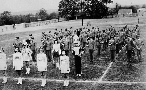 41band.jpg (63965 bytes)
