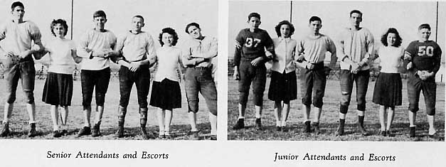 44roy2.jpg (34431 bytes)