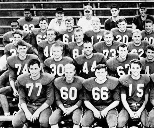 65fbtem1.jpg (46495 bytes)