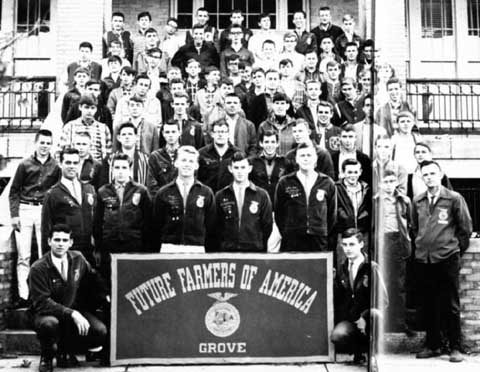 66ffa.jpg (40829 bytes)